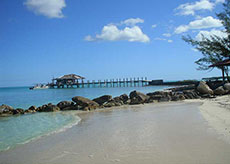 Wordpress and Divi-expert-Pompano Beach-and The Bahamas